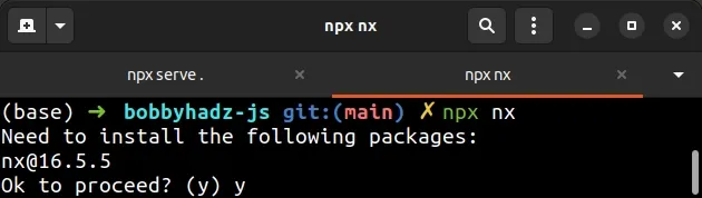 issue npx nx command
