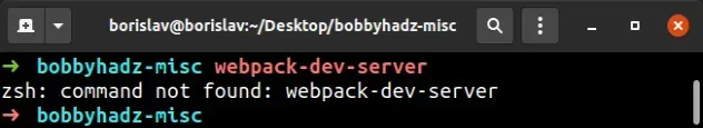 command not found webpack dev server