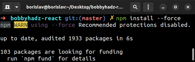 npm install with force option