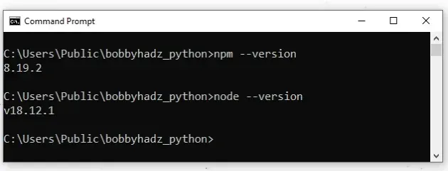 get node npm version