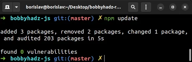 using npm update command to generate package lock json