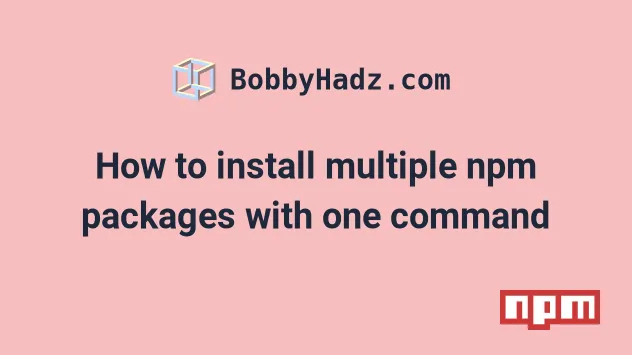 How To Install Multiple Npm Packages With One Command Bobbyhadz