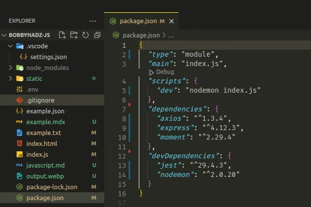 install multiple packages using package json