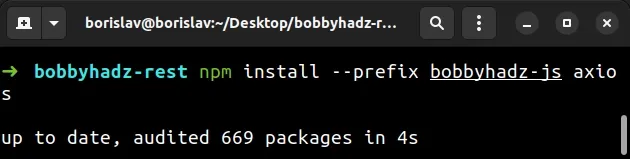 npm install package to specific directory