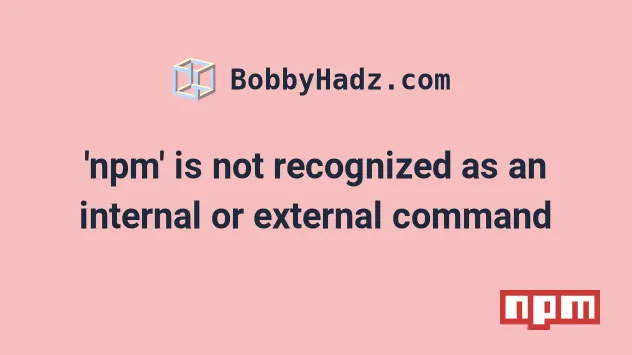 Npm' Is Not Recognized As An Internal Or External Command | Bobbyhadz