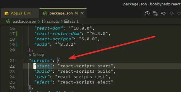 package json scripts section