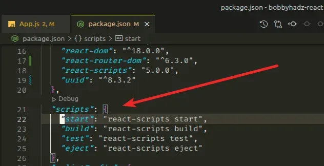 package json scripts section