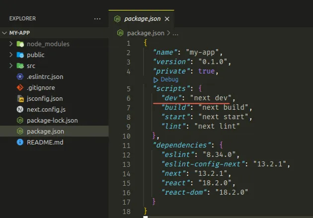 npm run dev package json