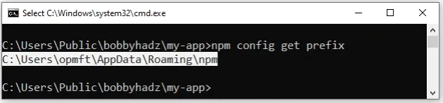 npm config get prefix