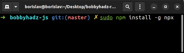 sudo install npx