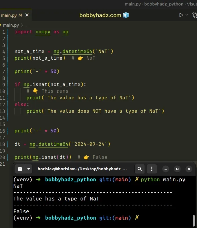 check for nat in numpy