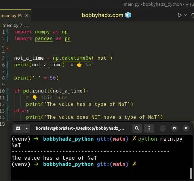 checking value or array for nat using pandas isnull