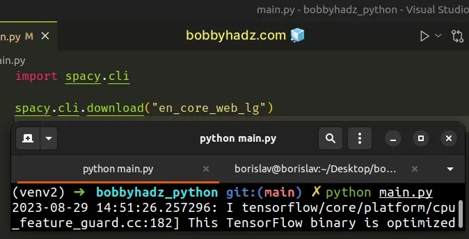 download en core web lg via python script
