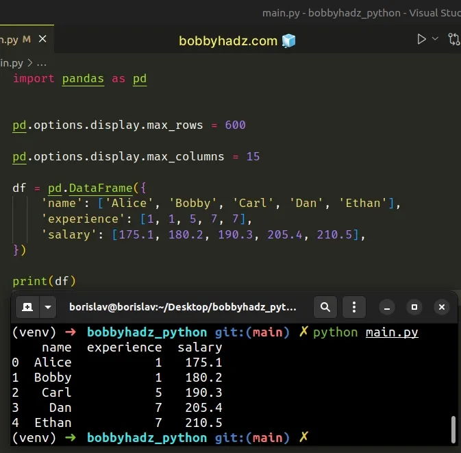 set number of max rows and cols shown using pandas options display