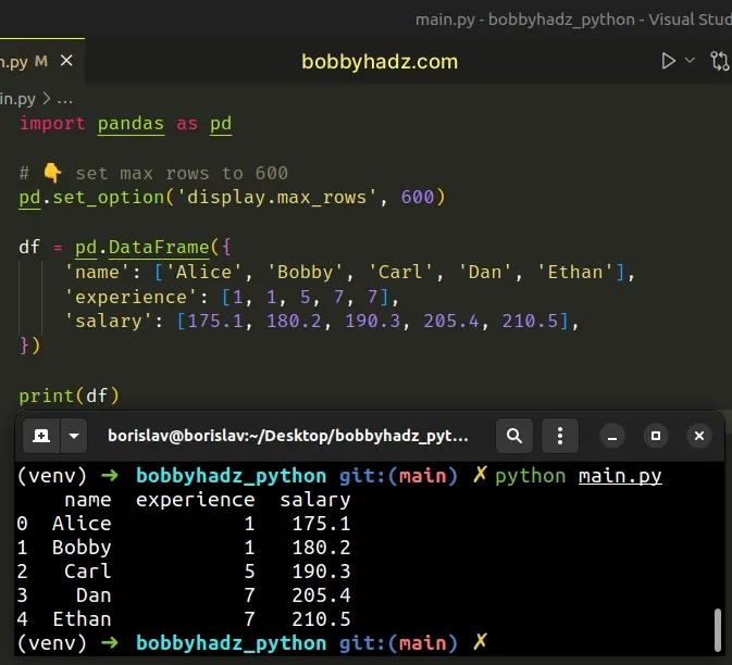 set number of max rows in dataframe