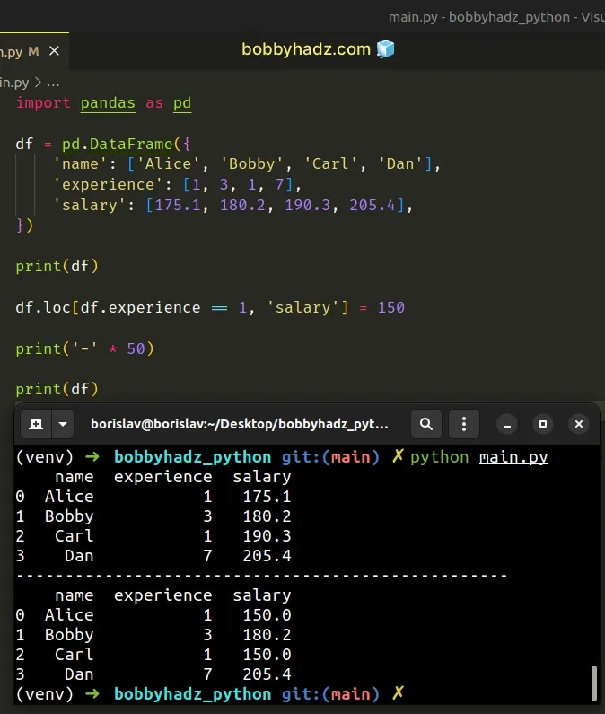 pandas modify subset of rows in dataframe