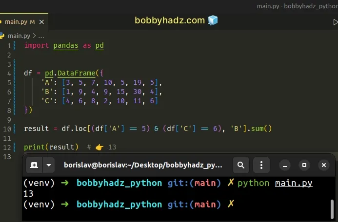 pandas-sum-the-values-in-a-column-that-match-a-condition-bobbyhadz