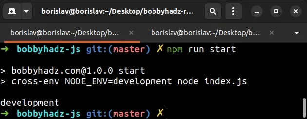 npm run start node env set to development