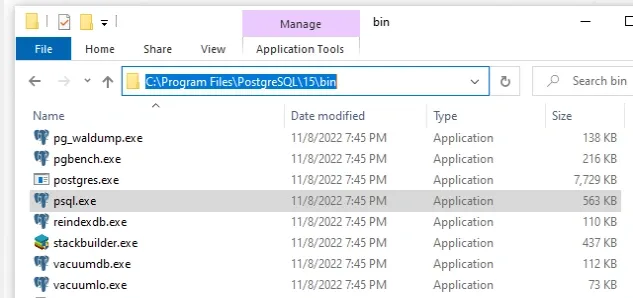 path-to-psql-exe