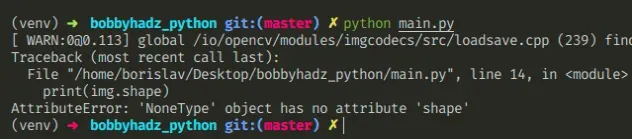 attributeerror nonetype object has no attribute shape