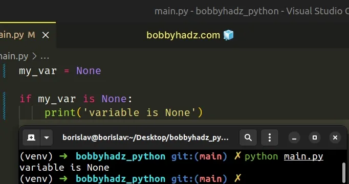 check-not-none-python