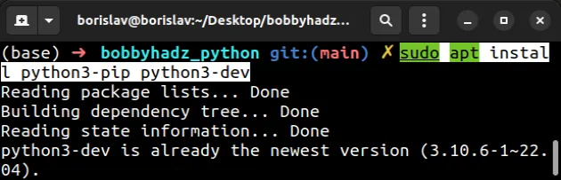 install python3 dev and pip