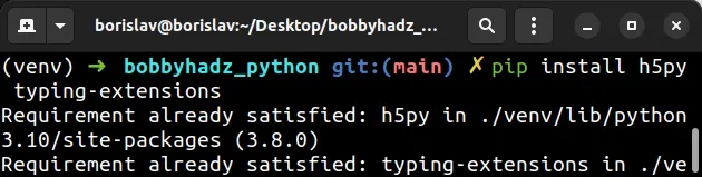 install h5py and typing extensions