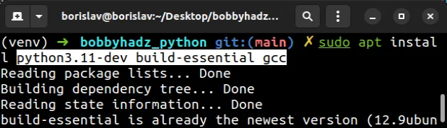 install python dev specific version