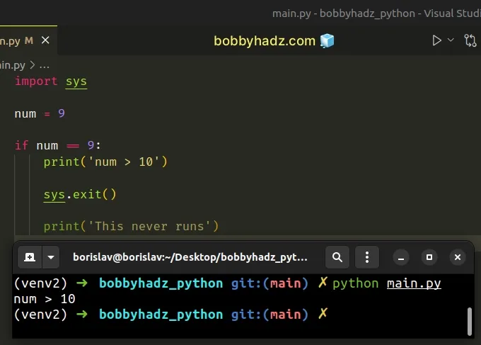 how-to-exit-an-if-statement-in-python-5-ways-bobbyhadz