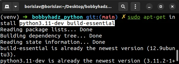 install python dev specific version