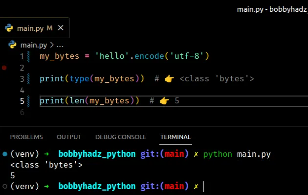 Get The Length Of A Bytes Object In Python | Bobbyhadz