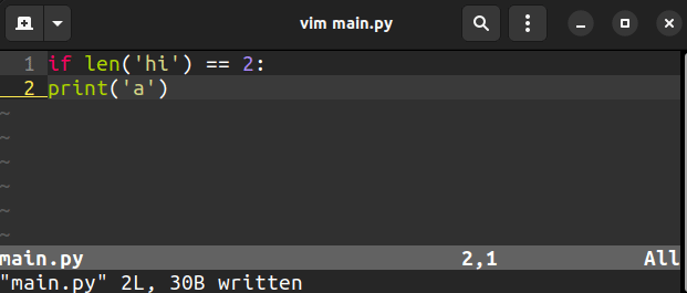 solve the error in vim