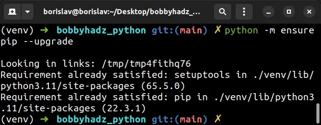 Modulenotfounderror: No Module Named 'Pip' In Python | Bobbyhadz