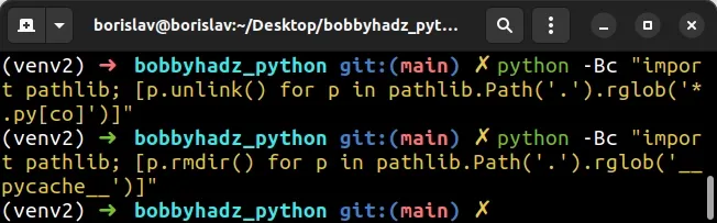 using python interpreter to delete pycache and pyc files