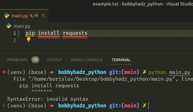 running pip install in a python file