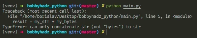 typeerror can only concatenate str not bytes to str