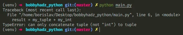typeerror can only concatenate tuple not int to tuple