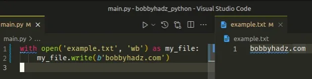 writing bytes to a file