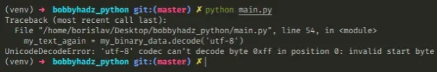 unicodedecodeerror utf 8 codec cant decode byte 0xff