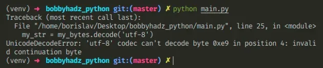 unicodedecodeerror utf 8 codec cant decode byte