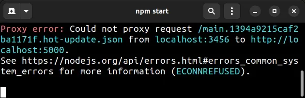 could not proxy request to localhost