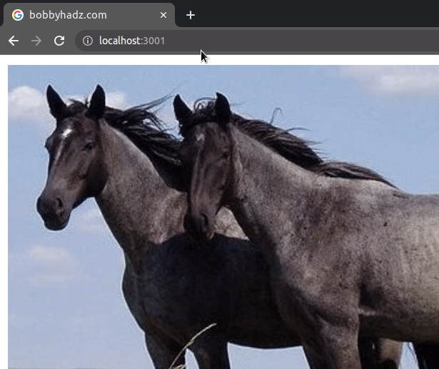 using local image from public directory as link