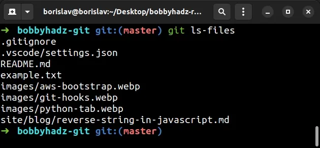 git ls files