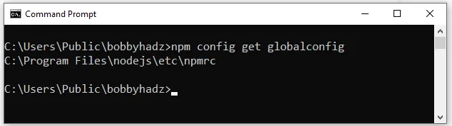 issue npm config get globalconfig command windows