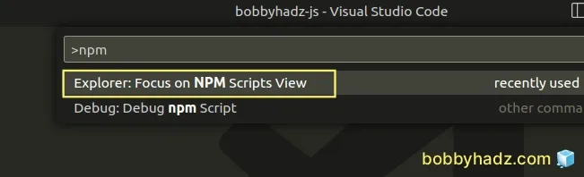 explorer focus on npm scripts view
