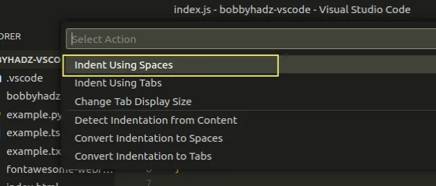 indent using spaces