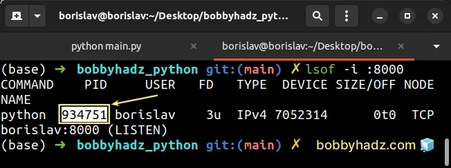 get process running on specified port