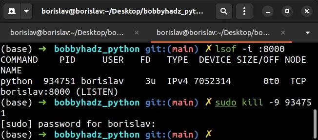 stop process running on specified port