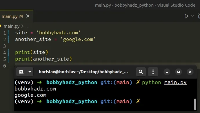 run python script with python main py