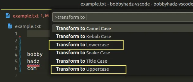 transform-text-to-uppercase-or-lowercase-in-vs-code-bobbyhadz